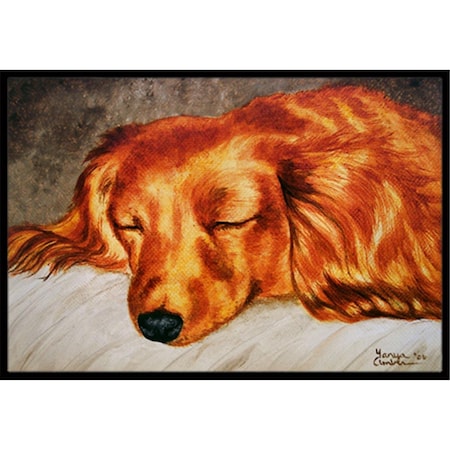 Jensendistributionservices Red Longhaired Dachshund Indoor or Outdoor Mat, 24 x 36 MI2556985